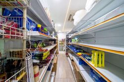 Vacanza @ East (D14), Shop House #509828801